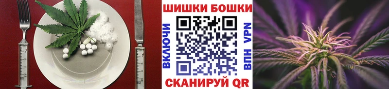 Canna-Cookies марихуана  закладка  маркетплейс состав  Новодвинск 