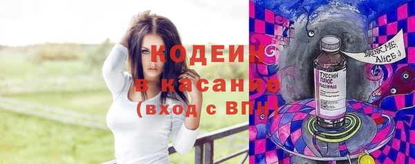 индика Алзамай
