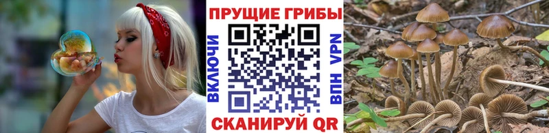 Галлюциногенные грибы GOLDEN TEACHER Новодвинск