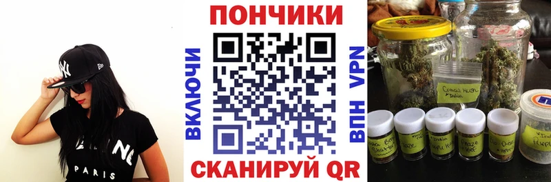 Конопля сатива Новодвинск